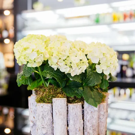 Hotell Western Le Moderne Caen