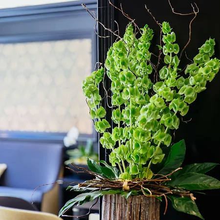 Western Le Moderne Caen