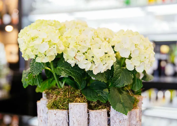 Отель Western Le Moderne Кан