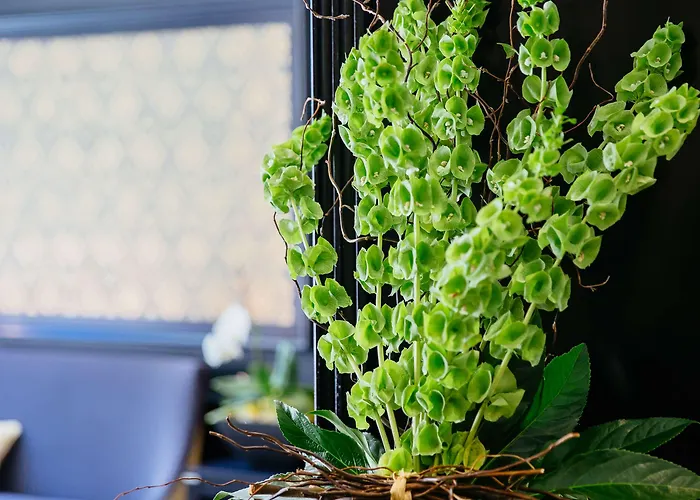 Western Le Moderne Кан